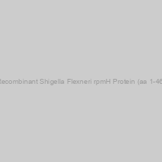 Image of Recombinant Shigella Flexneri rpmH Protein (aa 1-46)